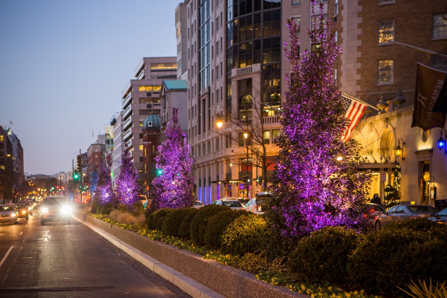 Connecticut Avenue Median Lights Golden Triangle