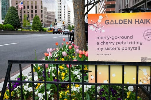 2026 haiku announcement_1280x600